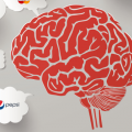 Marketing and Neurosciences: Advertising has to be emotional and connect with the brand